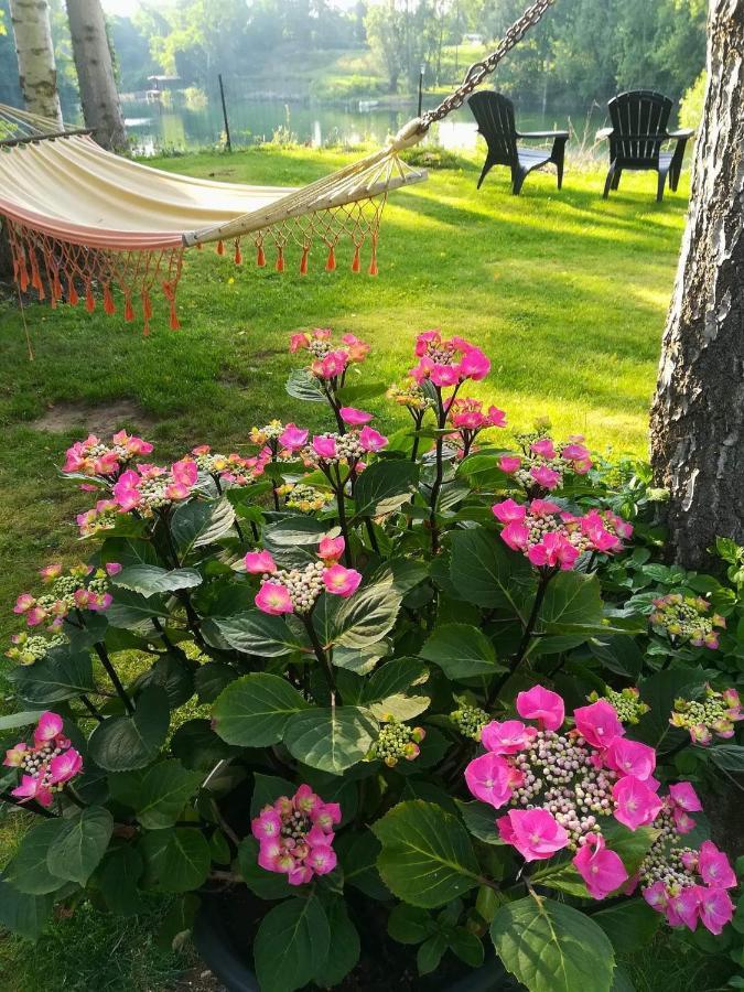 Villa Eden Basecles Dış mekan fotoğraf