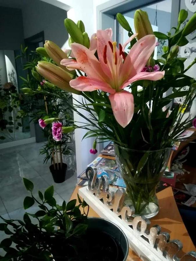 Villa Eden Basecles Dış mekan fotoğraf