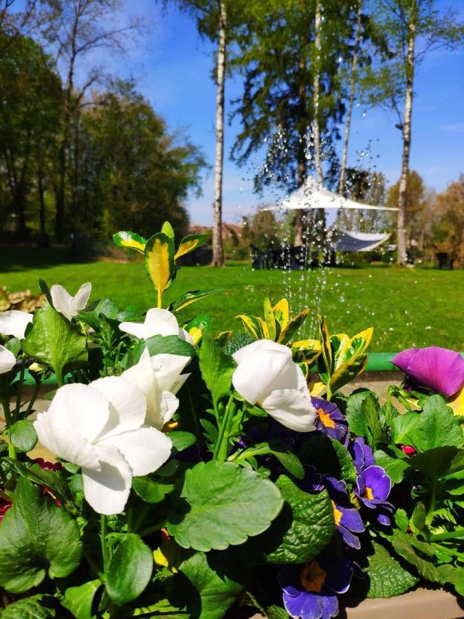Villa Eden Basecles Dış mekan fotoğraf
